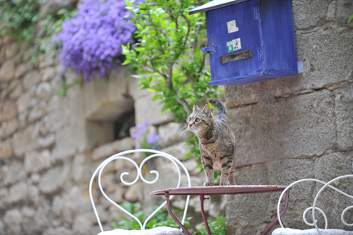 Saignon