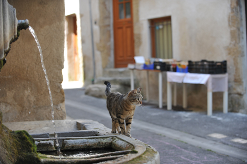 Lourmarin̐ݏ