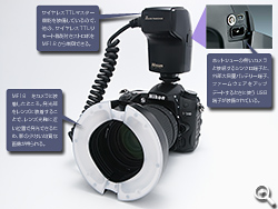 Click�Ŋg��