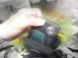 Click �Ŋg��