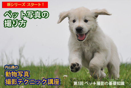 ���R��̓����ʐ^�e�N�j�b�N�u�� �y�b�g�ʐ^�̎B��� �X�^�[�g!!