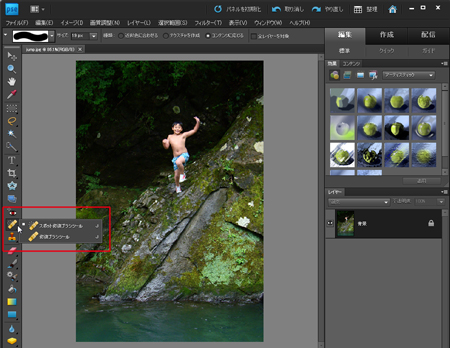 Photoshop Elements 9  Elements Organizer