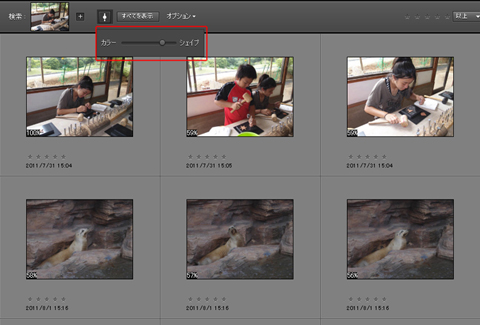 Photoshop Elements 10  Elements Organizer