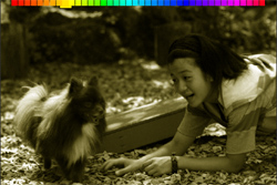 iPhone版PHOTOSHOP EXPRESS