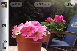 左の手前の花にピントと露出を合わせた