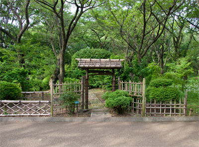 例題06.写真
