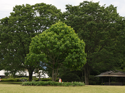 例題07.その1.写真