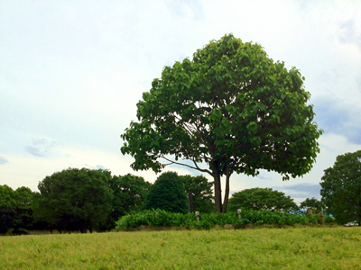 例題07.その2.写真