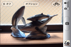 被写体が暗い失敗写真