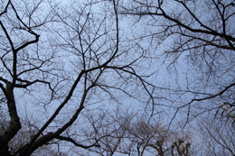 ClickŎ摜(e)