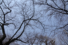 ClickŎ摜(e)
