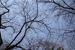 ClickŎ摜(e)
