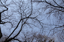 ClickŎ摜(e)