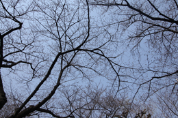 ClickŎ摜(e)